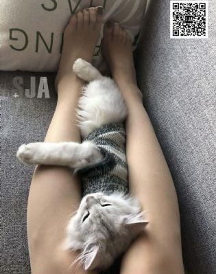 经典千人斩官网_蓝光最新电影在线观看
