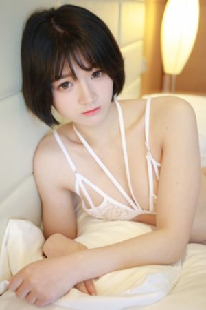 鹊刀门传奇免费观看_1080P免费播放