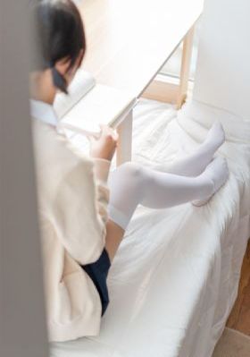 熊出没·狂野大陆_蓝光免费电视剧